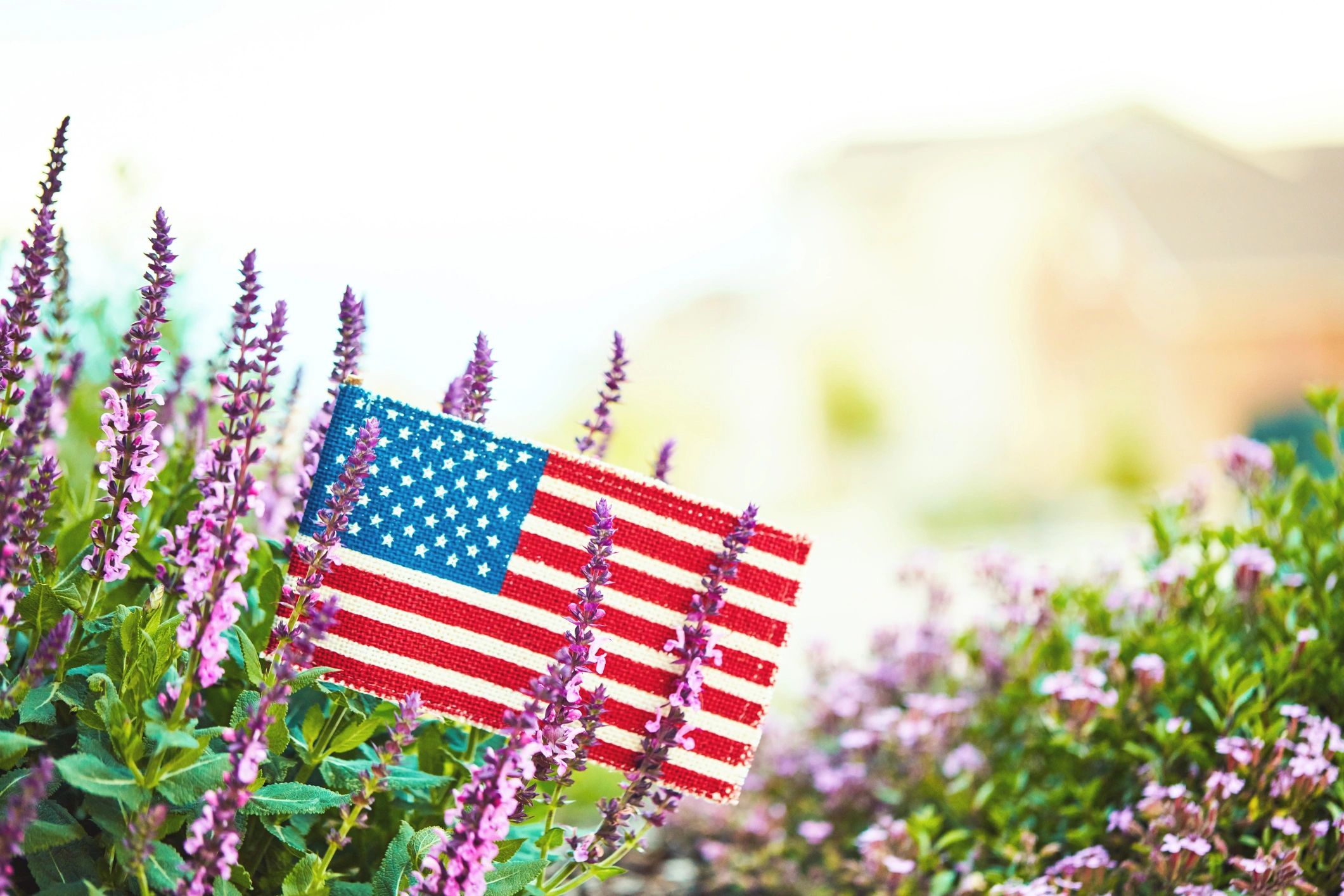 American flag with soft copy space